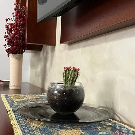 Daire Cozy Nest Ledi