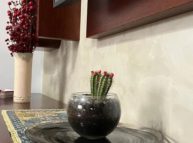 Lägenhet Cozy Nest Ledi