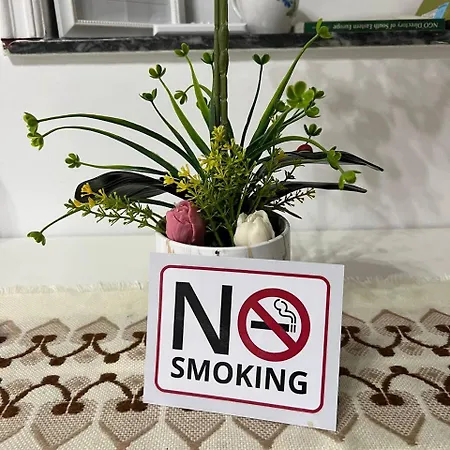 Daire Cozy Nest Ledi